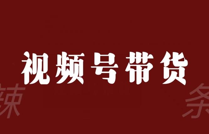视频号带货联盟,赚信息差的带货钱,只需手机随时随地都可以做!