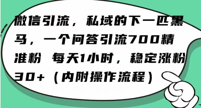 怎么搞精准创业粉？微信新赛道，每天一小时，利用Ai一个问答日引100精准粉-百盛轻创