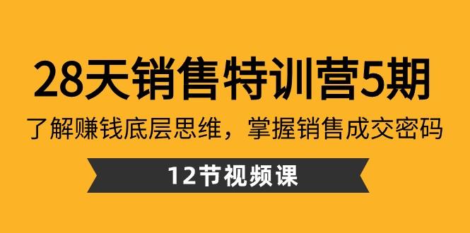 28天销售特训营5期：了解赚钱底层思维，掌握销售成交密码（12节课）-百盛轻创