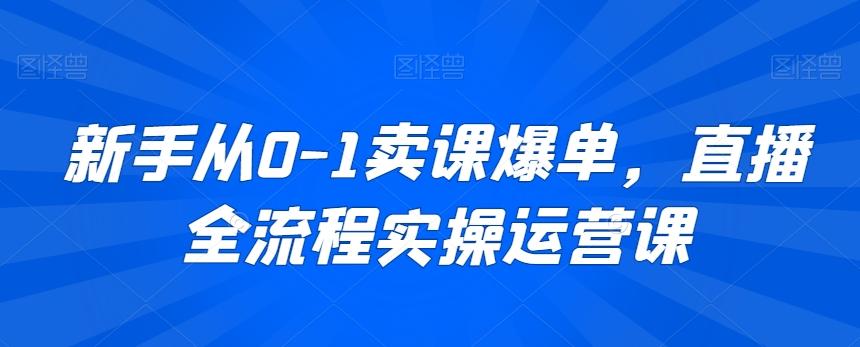 新手从0-1卖课爆单，直播全流程实操运营课-百盛轻创