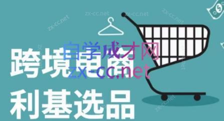 阿甘·2024年跨境电商选品案例(更新)-小艾项目网