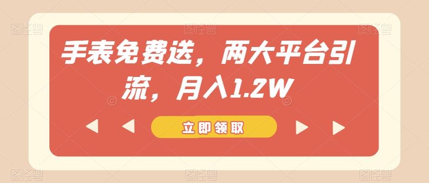 手表免费送，两大平台引流，月入1.2W【揭秘】-小艾项目网