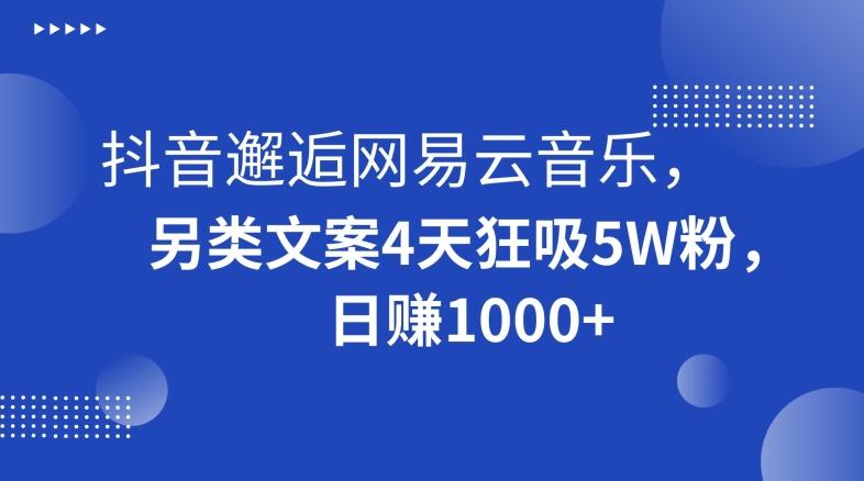 抖音邂逅网易云音乐，另类文案4天狂吸5W粉，日赚1000+【揭秘】-百盛轻创