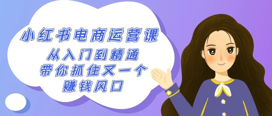 2024小红书电商运营课，从入门到精通，带你抓住又一个赚钱风口(50节课)-百盛轻创