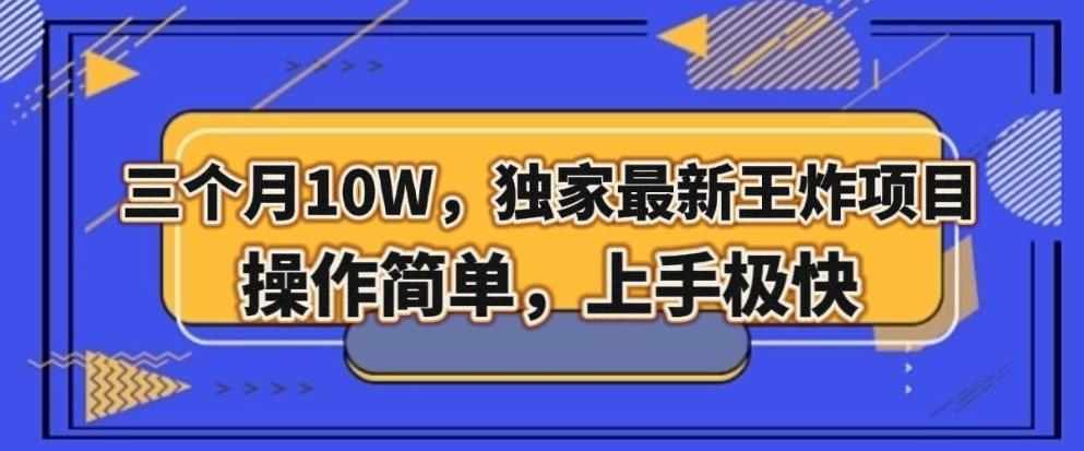 三个月10W，独家最新王炸项目！操作简单，上手极快【揭秘】-百盛轻创