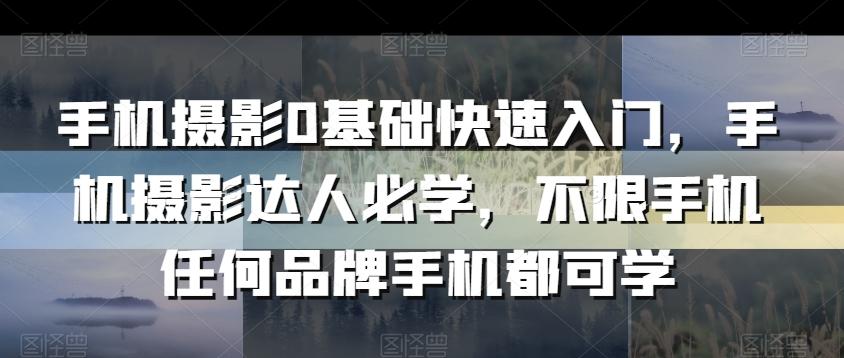 手机摄影0基础快速入门，手机摄影达人必学，不限手机任何品牌手机都可学-百盛轻创