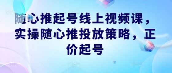 随心推起号线上视频课，实操随心推投放策略，正价起号-百盛轻创
