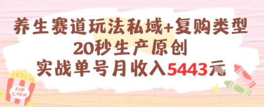 养生赛道玩法私域+复购类型，20秒生产原创实战单号月收入5k+-小艾项目网