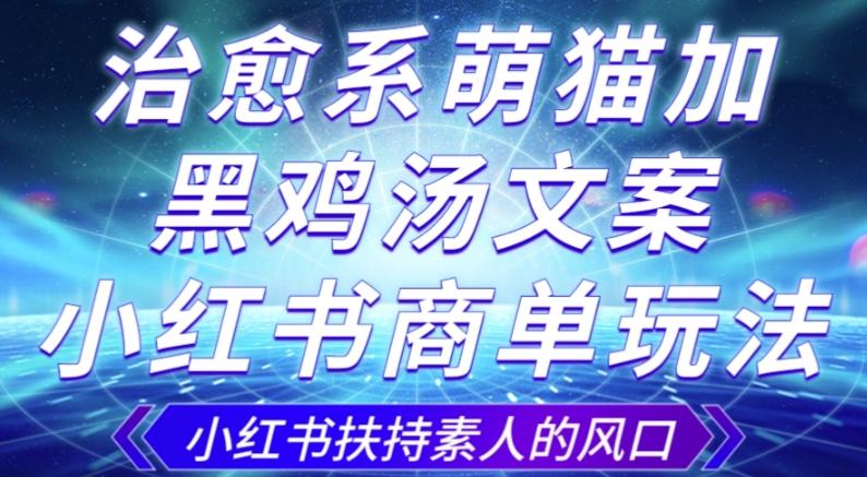 治愈系萌猫加+黑鸡汤文案，小红书商单玩法，3~10天涨到1000粉，一单200左右-小艾项目网