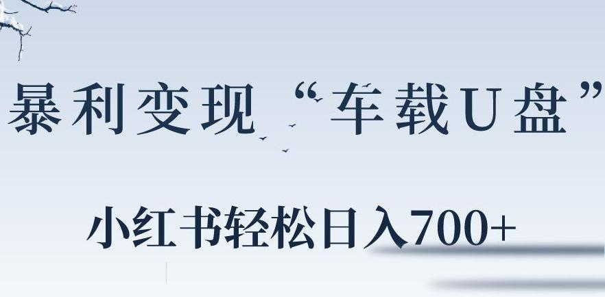 小红书“车载U盘”暴利引流,日入700+