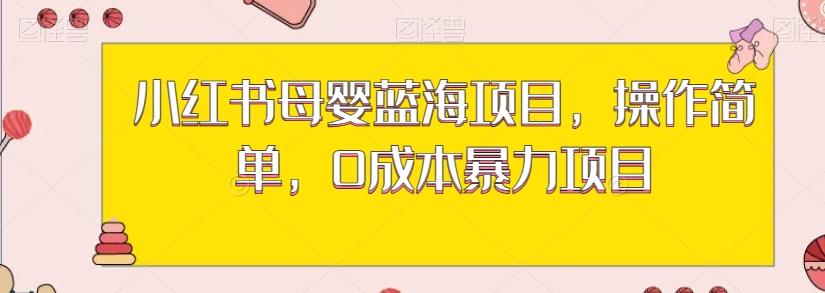 小红书母婴蓝海项目，操作简单，0成本暴力项目-小艾项目网