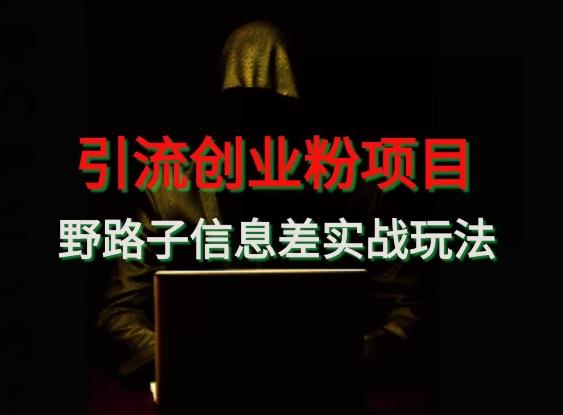 【引流创业粉】野路子信息差玩法实战教学-百盛轻创