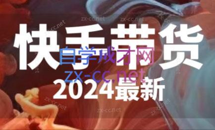 快手带货(2024最新)-百盛轻创