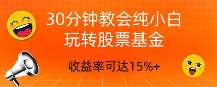 30分钟教会你玩转股票基金，只教好的筛选方法，不荐股-小艾项目网