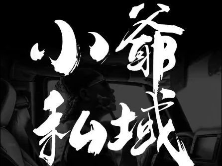 小爷·私域项目操盘手-小艾项目网
