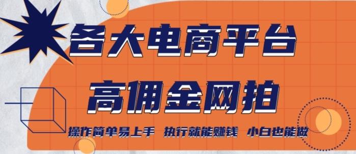 各大电商平台高佣金网拍，操作简单易上手，执行就能赚钱，小白也能做-百盛轻创