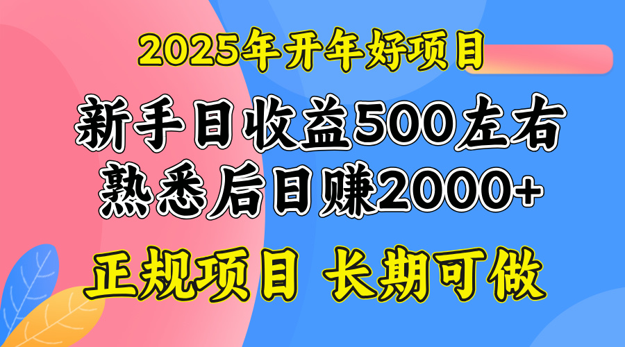 2025开年好项目，单号日收益2000左右-百盛轻创