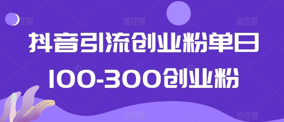抖音引流创业粉单日100-300创业粉【揭秘】-百盛轻创