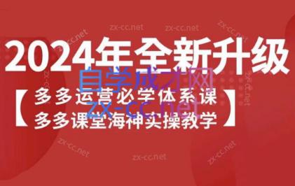海神老师·拼多多运营必学体系课-百盛轻创