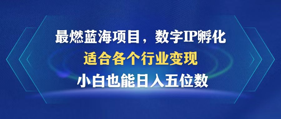 最燃蓝海项目  数字IP孵化  适合各个行业变现  小白也能日入5位数-百盛轻创