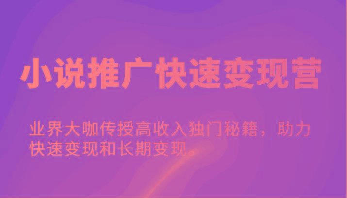小说推广快速变现营-业界大咖传授高收入独门秘籍，助力快速变现和长期变现。-百盛轻创