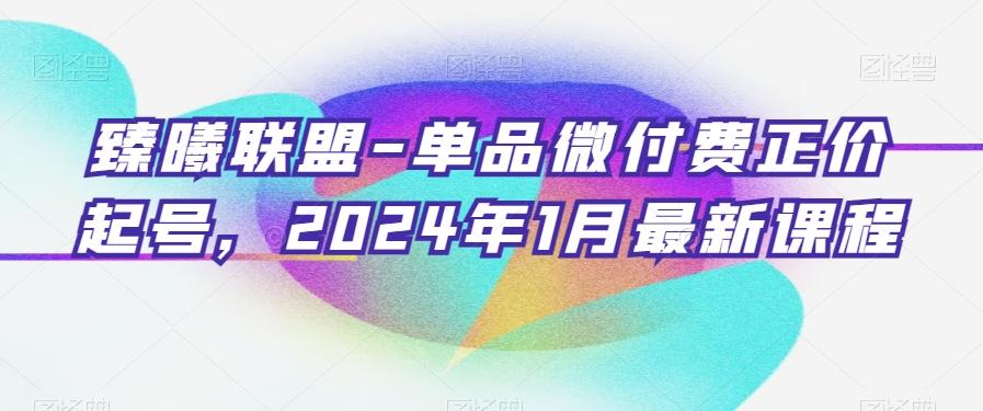 臻曦联盟-单品微付费正价起号，2024年1月最新课程-百盛轻创