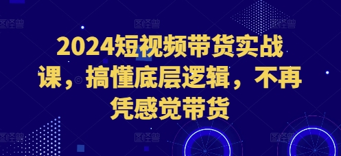 2024短视频带货实战课，搞懂底层逻辑，不再凭感觉带货-百盛轻创