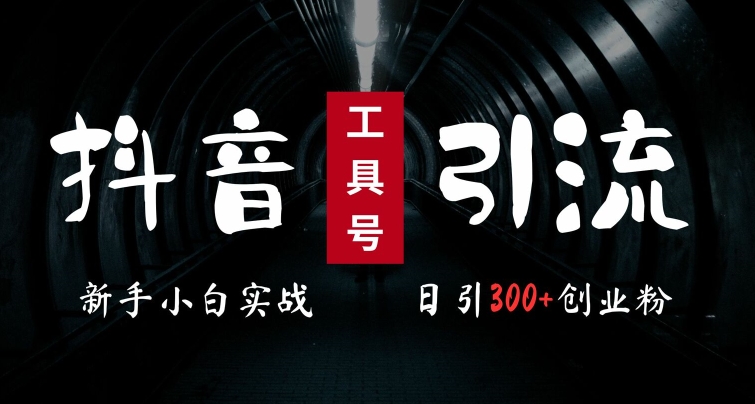 2024最新抖音工具号引流玩法，高效日引300+创业粉，当天变现5k，小白也可成为实战高手-小艾项目网