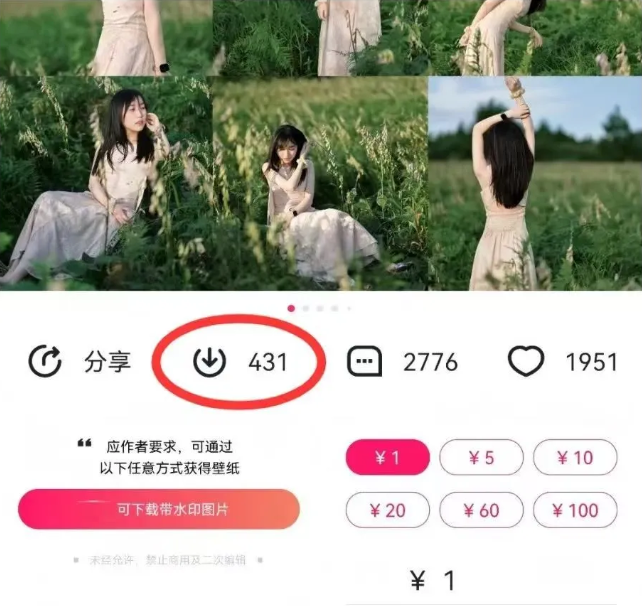 最新图虫搬运项目，收益无上限，利用AI小白也可日赚500+-小艾项目网