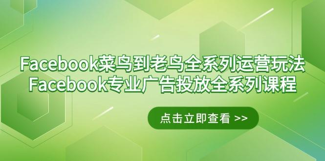 Facebook-菜鸟到老鸟全系列运营玩法+Facebook-专业广告投放全系列课程-百盛轻创
