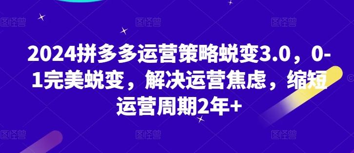 2024拼多多运营策略蜕变3.0，0-1完美蜕变，解决运营焦虑，缩短运营周期2年+-百盛轻创