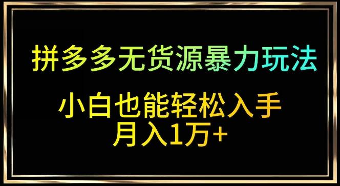拼多多无货源暴力玩法，全程干货，小白也能轻松入手，月入1万+【揭秘】-百盛轻创