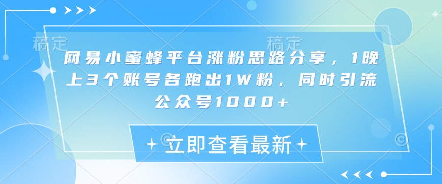 网易小蜜蜂平台涨粉思路分享，1晚上3个账号各跑出1W粉，同时引流公众号1000+-小艾项目网