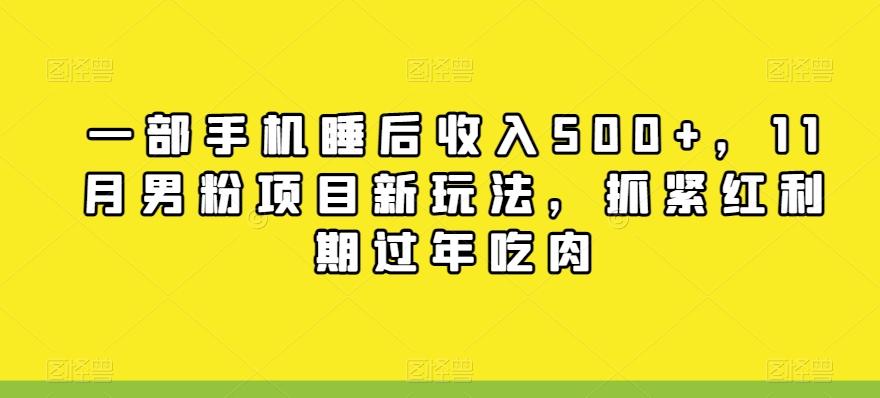 一部手机睡后收入500+，11月男粉项目新玩法，抓紧红利期过年吃肉-小艾项目网
