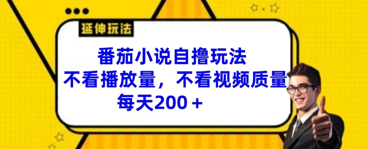 番茄小说自撸玩法，不看播放量，不看视频质量，每天200+【揭秘】-小艾项目网