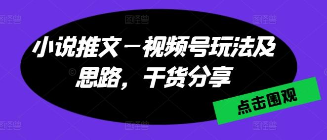 小说推文—视频号玩法及思路，干货分享-百盛轻创