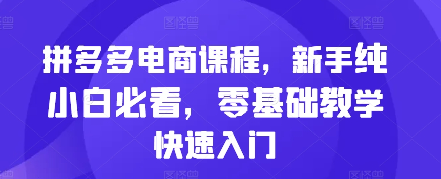 拼多多电商课程，新手纯小白必看，零基础教学快速入门-百盛轻创