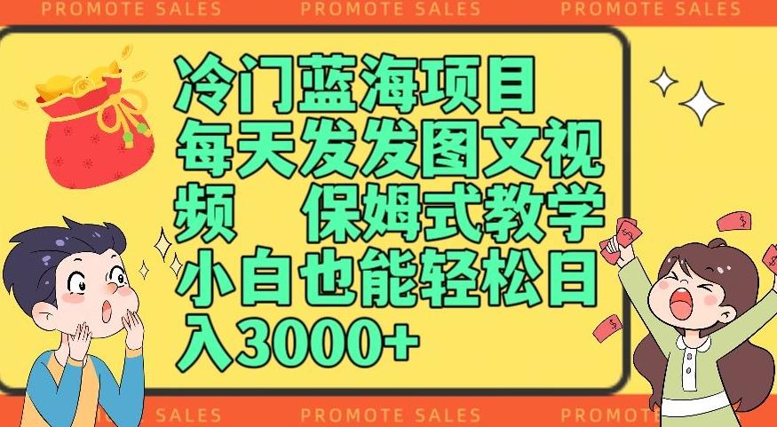 冷门蓝海项目，每天发发图文视频，保姆式教学，小白也能轻松日入3000+-小艾项目网
