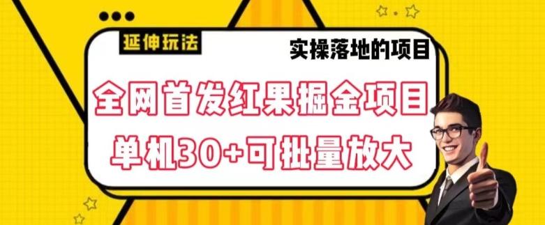 全网首发红果免费短剧掘金项目，单机30+可批量放大【揭秘】-小艾项目网