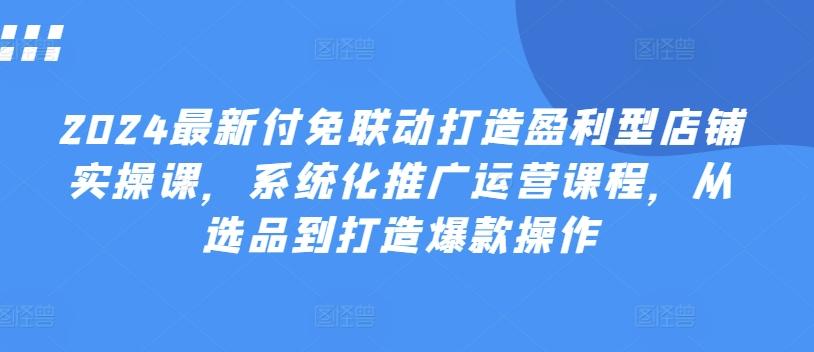 2024最新付免联动打造盈利型店铺实操课，​系统化推广运营课程，从选品到打造爆款操作-小艾项目网