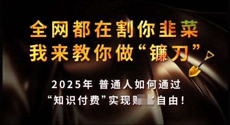 知识付费如何做到月入过W+，2025我来教你做“镰刀”【揭秘】-小艾项目网