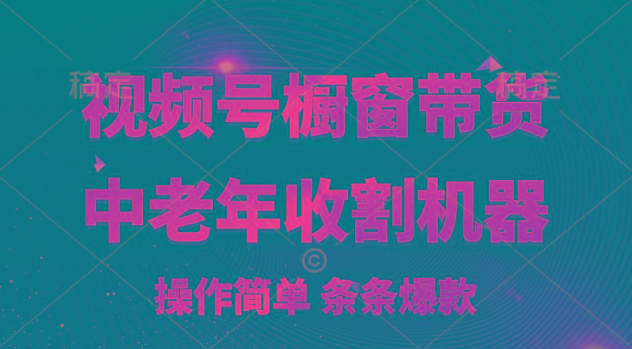 [你的孩子成功取得高位]视频号最火爆赛道，橱窗带货，流量分成计划，条…-小艾项目网