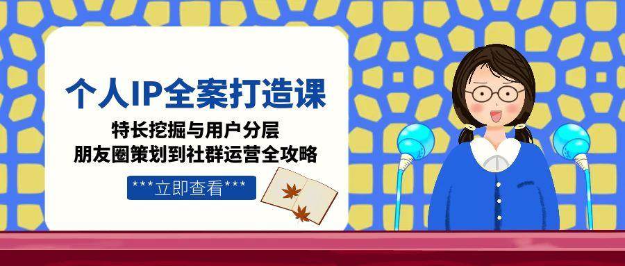 个人IP全案打造课，特长挖掘与用户分层，朋友圈策划到社群运营全攻略-百盛轻创