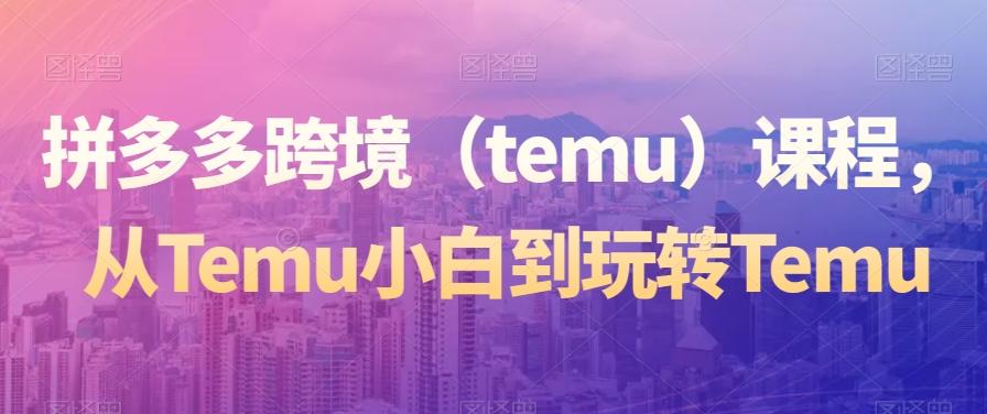 拼多多跨境（temu）课程，从Temu小白到玩转Temu-百盛轻创