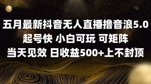 2025五月最新无人直播撸音浪单日产出5张+实操教程【揭秘】-百盛轻创