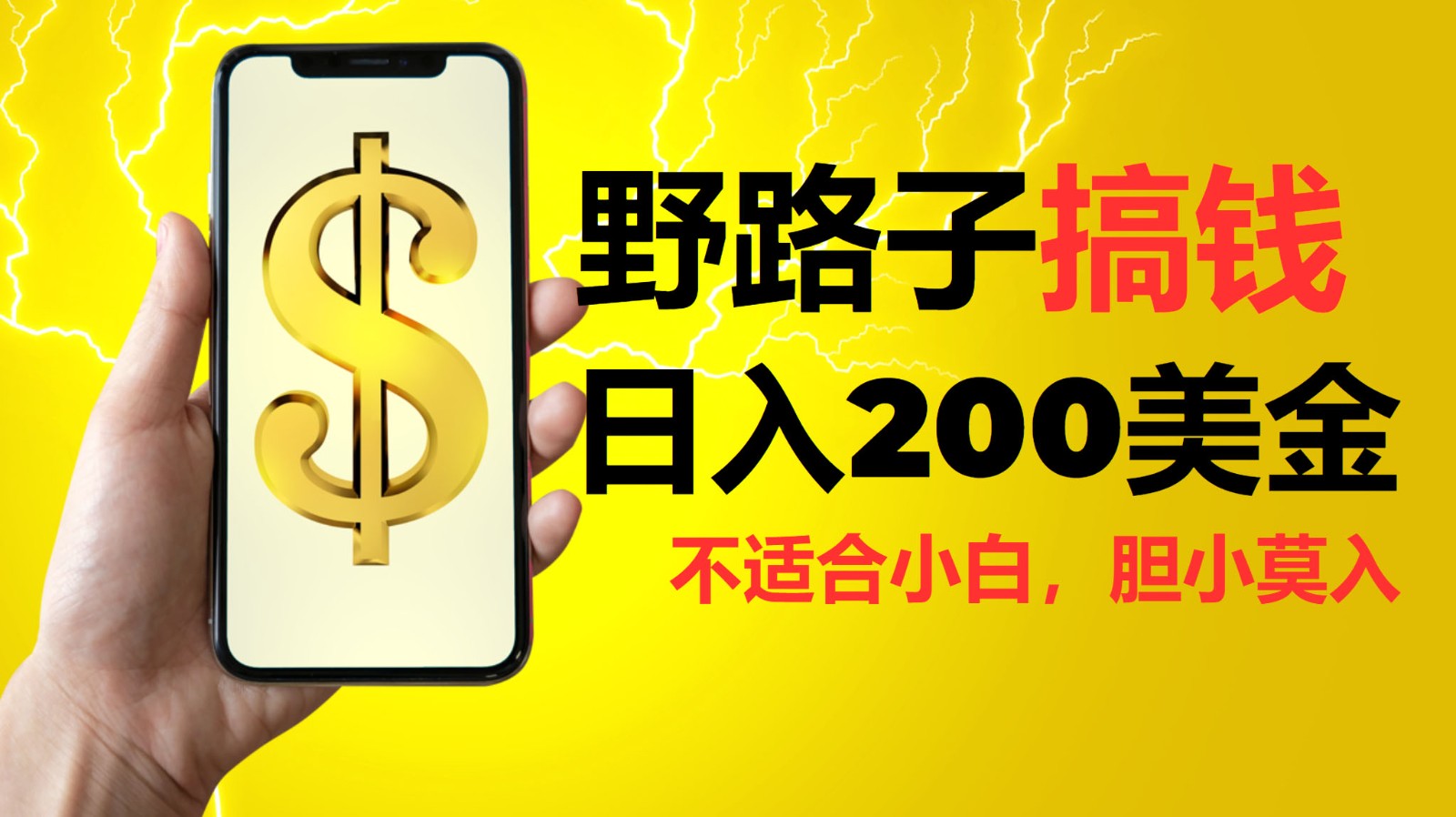 挂机野路子搞钱,日入200美金,路子很野,小白莫入-小艾项目网