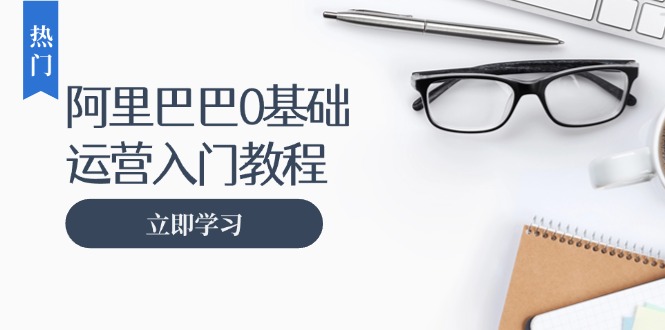 阿里巴巴运营零基础入门教程：涵盖开店、运营、推广，快速成为电商高手-百盛轻创