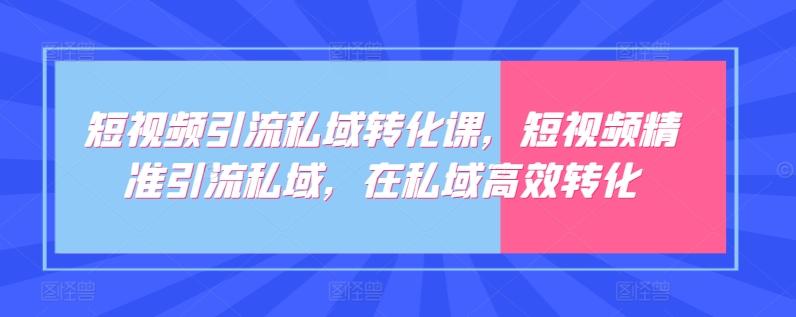 短视频引流私域转化课，短视频精准引流私域，在私域高效转化-百盛轻创