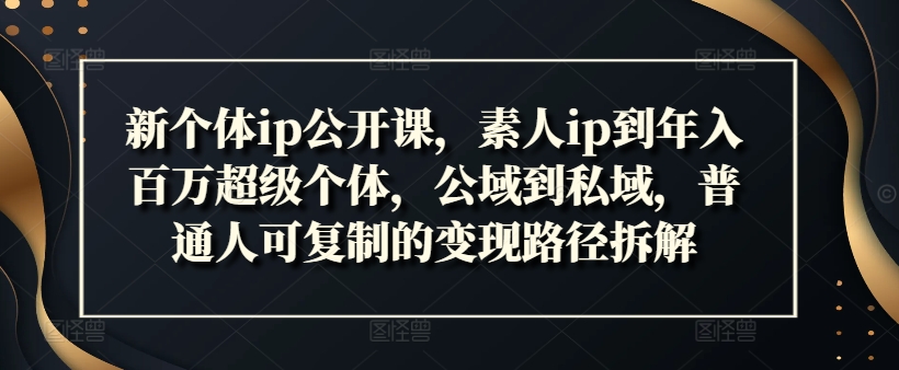 新个体ip公开课，素人ip到年入百万超级个体，公域到私域，普通人可复制的变现路径拆解-百盛轻创