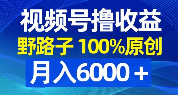 视频号野路子撸收益，100%原创，条条爆款，月入6000＋【揭秘】-百盛轻创